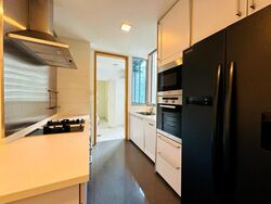 Cairnhill Crest (D9), Condominium #428290791